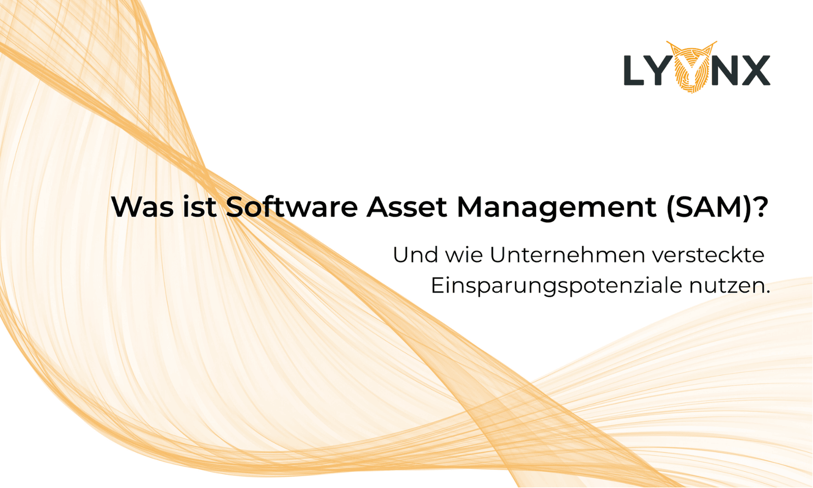 Was ist Software Asset Management (SAM)?