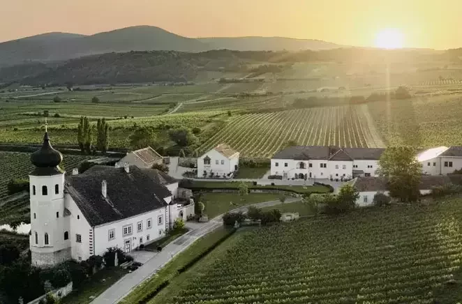 Freigut Thallern Wein GmbH